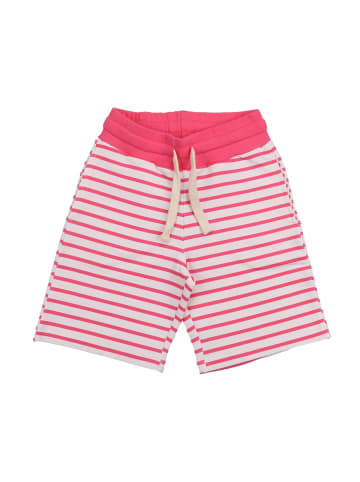 Walkiddy Shorts Pink stripes 12-Shorts