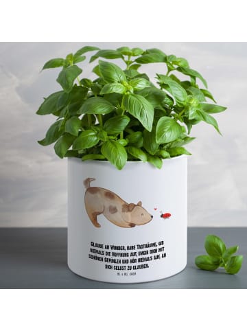 Mr. & Mrs. Panda Blumentopf Groß Hund Marienkäfer mit Spruch in Weiß