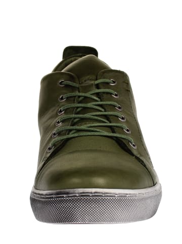 Andrea Conti Sneaker low 0342745042  in Grün