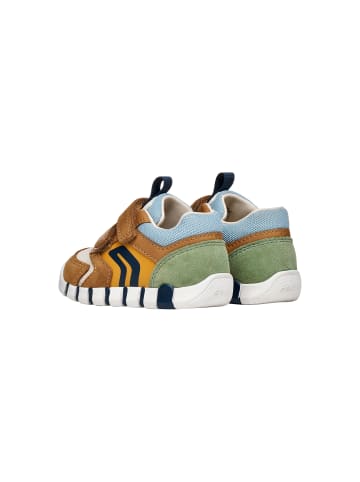 Geox Sneaker Kind aus Leder Lupidoo B.D Suede Mesh Braun