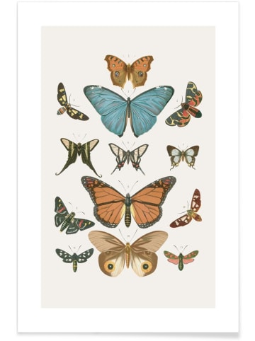Juniqe Poster "Butterflies" in Cremeweiß & Grau