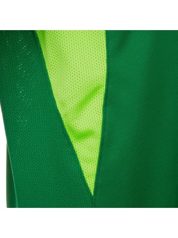 Nike Performance Fußballtrikot Legend in grün / weiß