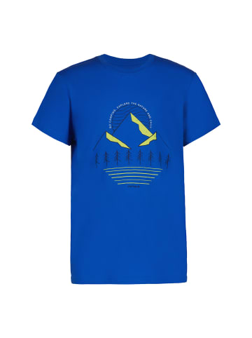 Icepeak T-Shirt in Blau