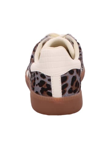 Back 70 Schnürschuh in grau