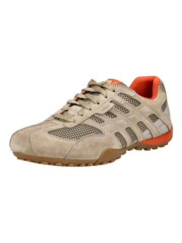Geox Sneaker in Sand