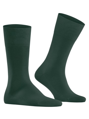 Falke Socken Tiago in Hunter gre