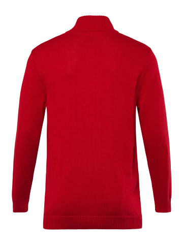 Men Plus Pullover in rot