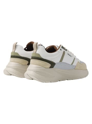 MoEa Sneakers Low in white/green