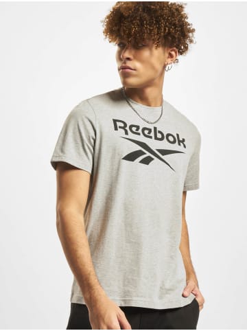 Reebok Reebok T-Shirt in grey