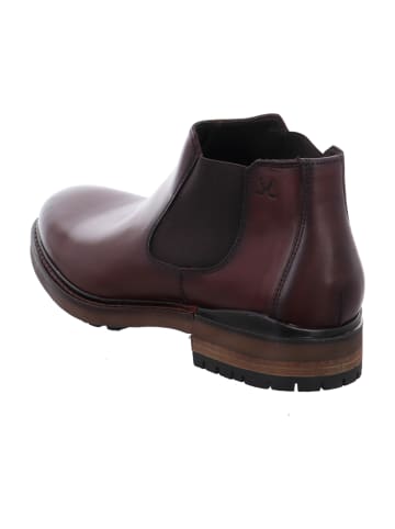 LLOYD Chelsea Boots in Braun