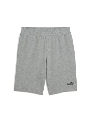 Puma Shorts in Grau