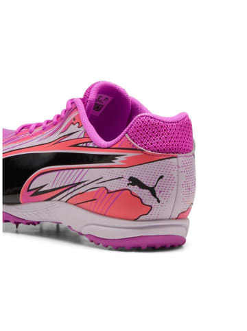 Puma Sportschuh "evoSPEED Haraka Sparked" in Lila