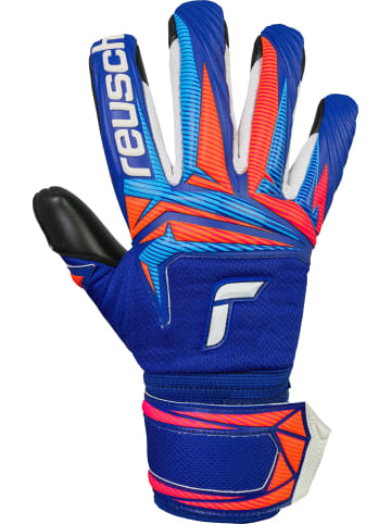 Reusch Torwarthandschuhe Attrakt Infinity Evolution NC in 4127 sharp blu/orng