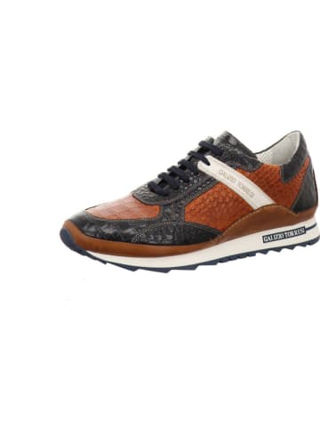 Galizio Torresi Sneaker in braun