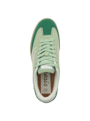 GENESIS Sneaker low G-Volley Hairy in weiss