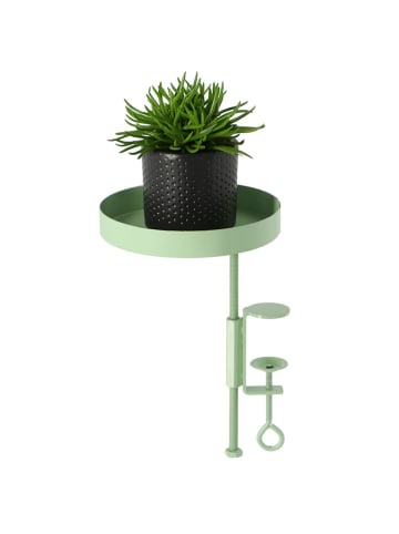 Rivanto Fensterdekoration in grün