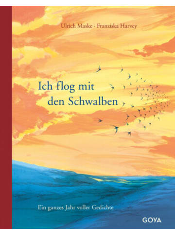 Jumbo Neue Medien Buch - Ich flog mit den Schwalben