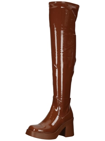 Steve Madden Stiefel in Cognac