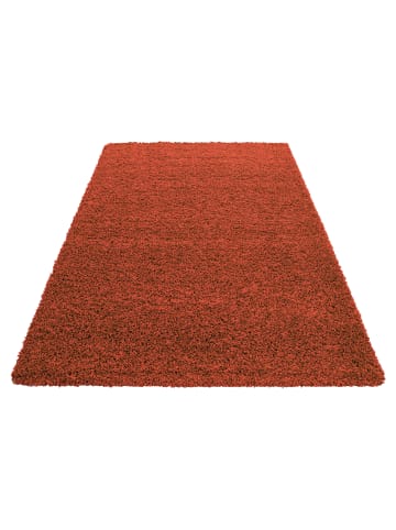 KADIMA DESIGN Teppich Hochflor Unifarben Polypropylen Wohnzimmer Shaggy in Terrakotta
