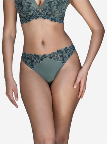 SugarShape Brazilian CHA in olive