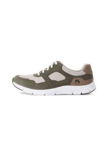Pius Gabor Sneaker low in grün