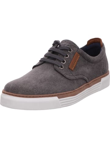 Pius Gabor Sneaker in grau