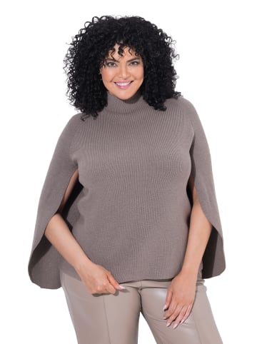 Ulla Popken Pullover in blassbraun