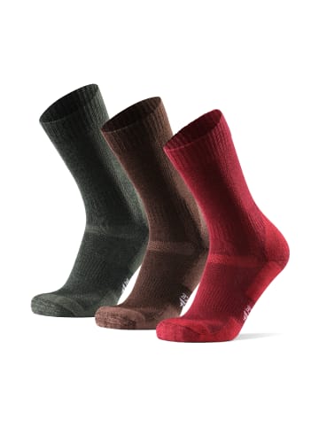 DANISH ENDURANCE Wandersocken Hiking Classic in Multicolor