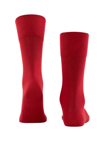 Falke Socken Tiago in Scarlet