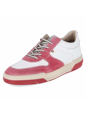 Floris van Bommel Low Sneaker DE DUNKER in Rot