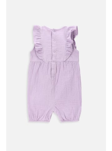 Coccodrillo Strickoverall in violett