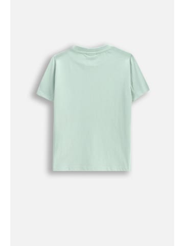 Coccodrillo T-Shirt mit kurzen Ärmeln in in Minzfarbe