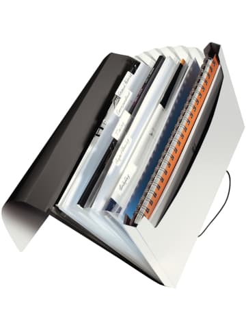 Leitz Fächermappe Solid A4 PP mit 6 Fächern weiß