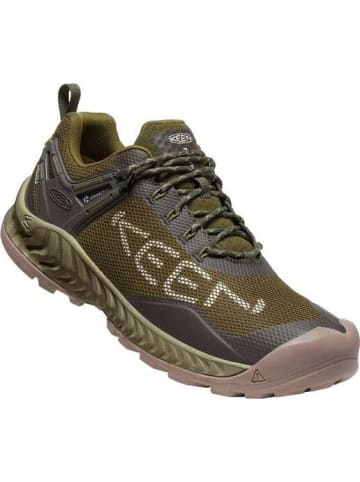 Keen Wanderschuhe NXIS EVO WP M-DARK OLIVE/BLACK OLIV in oliv