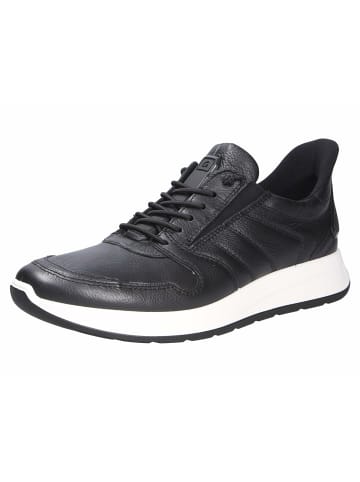 ara Sneaker für Herren in Schwarz
