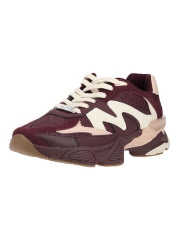 Steve Madden Sneaker SPEEDER in Rot/Pink