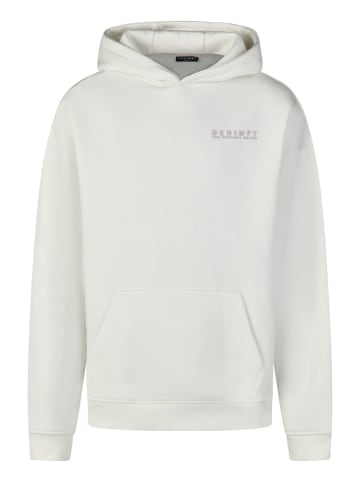 DENIMFY Sweatshirt DFMaxim in Weiß