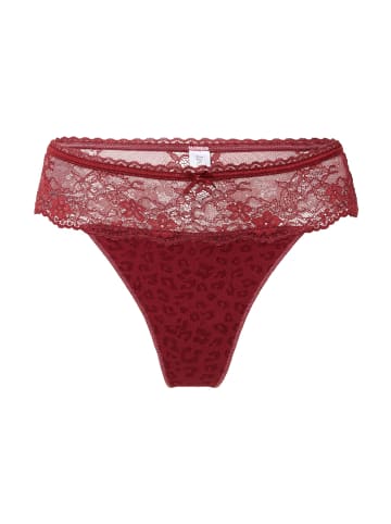 LINGADORE DAILY String Ruby wine jacquard