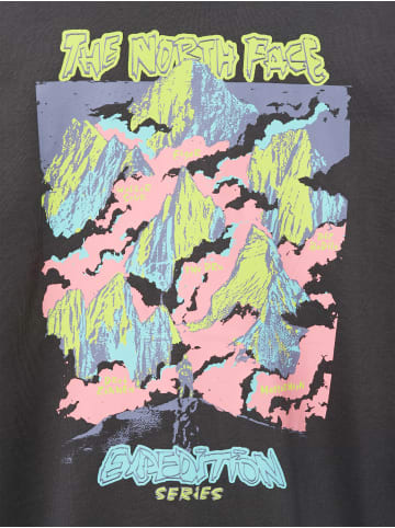 The North Face Sweatshirt in anthrazit