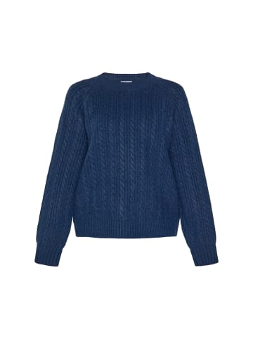 usha BLUE LABEL Women Sweater in navy