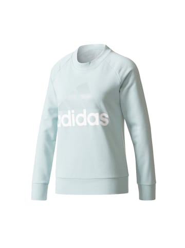 adidas Sweater Pullover Rundhals in Grün