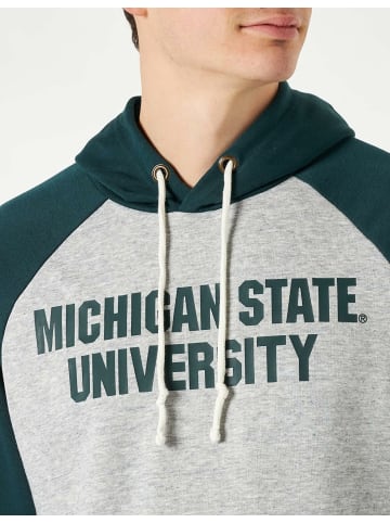 Champion Hoodie für Herren in Bunt