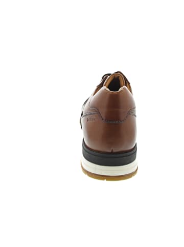 DIGEL Super Sneaker low Braun