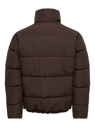 ONLY & SONS Daunenjacke in Coffee Bean