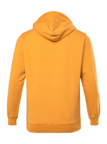 Men Plus Sweatjacke in karotte