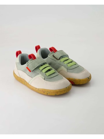 Groundies Outdoor Schuhe in Grün