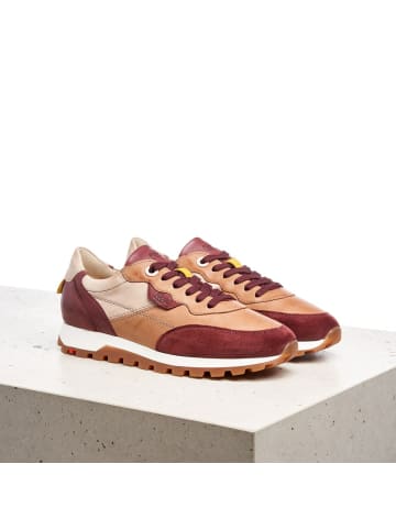 LLOYD Sneaker für Damen in braun