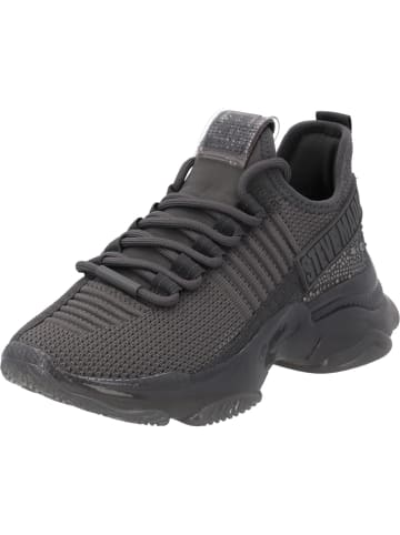 Steve Madden Schnürschuhe in paloma grey