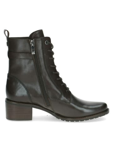Caprice Schnür-Stiefeletten in Dunkelbraun