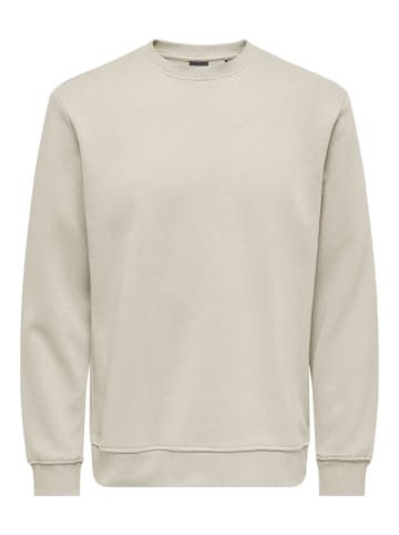 ONLY & SONS Sweatshirt in Silver Lining 1